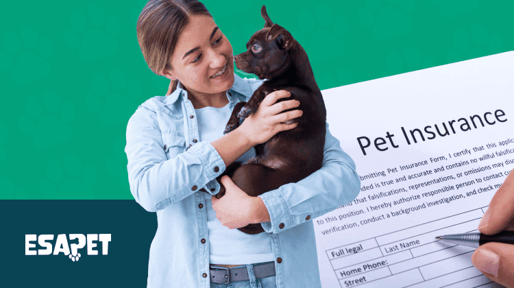 Does Health Insurance Cover Emotional Support Animals