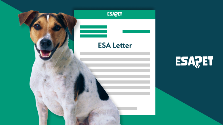 can you get an esa letter before you get a dog